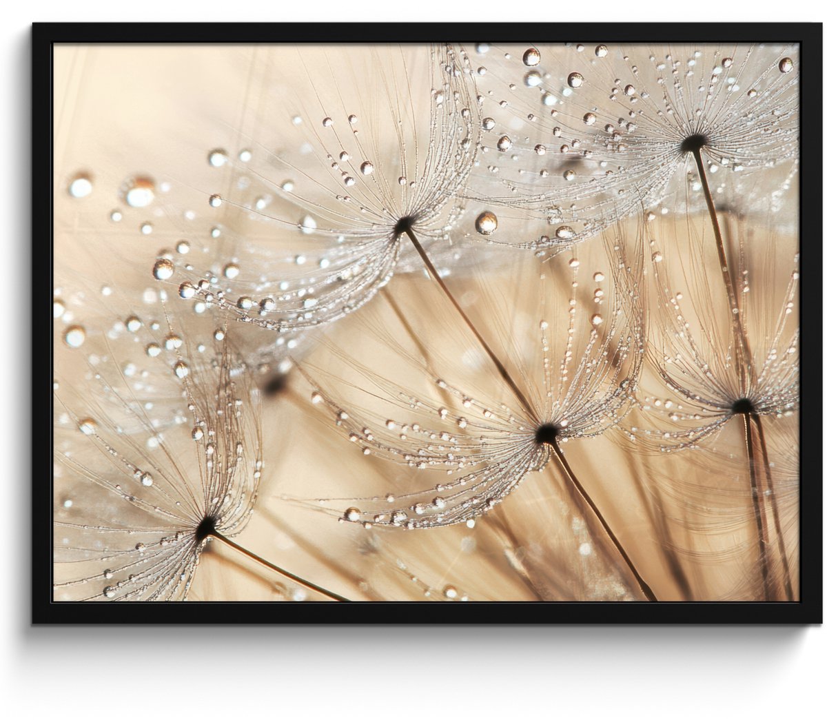 FrameYourWall Poster in lijst - Fotolijst 70x50 cm - Posters - Paardenbloem - Abstract - Natuur - Beige - Posterlijst zwart - Decoratie - Wanddecoratie woonkamer - Muurdecoratie slaapkamer Paardenbloem - Water