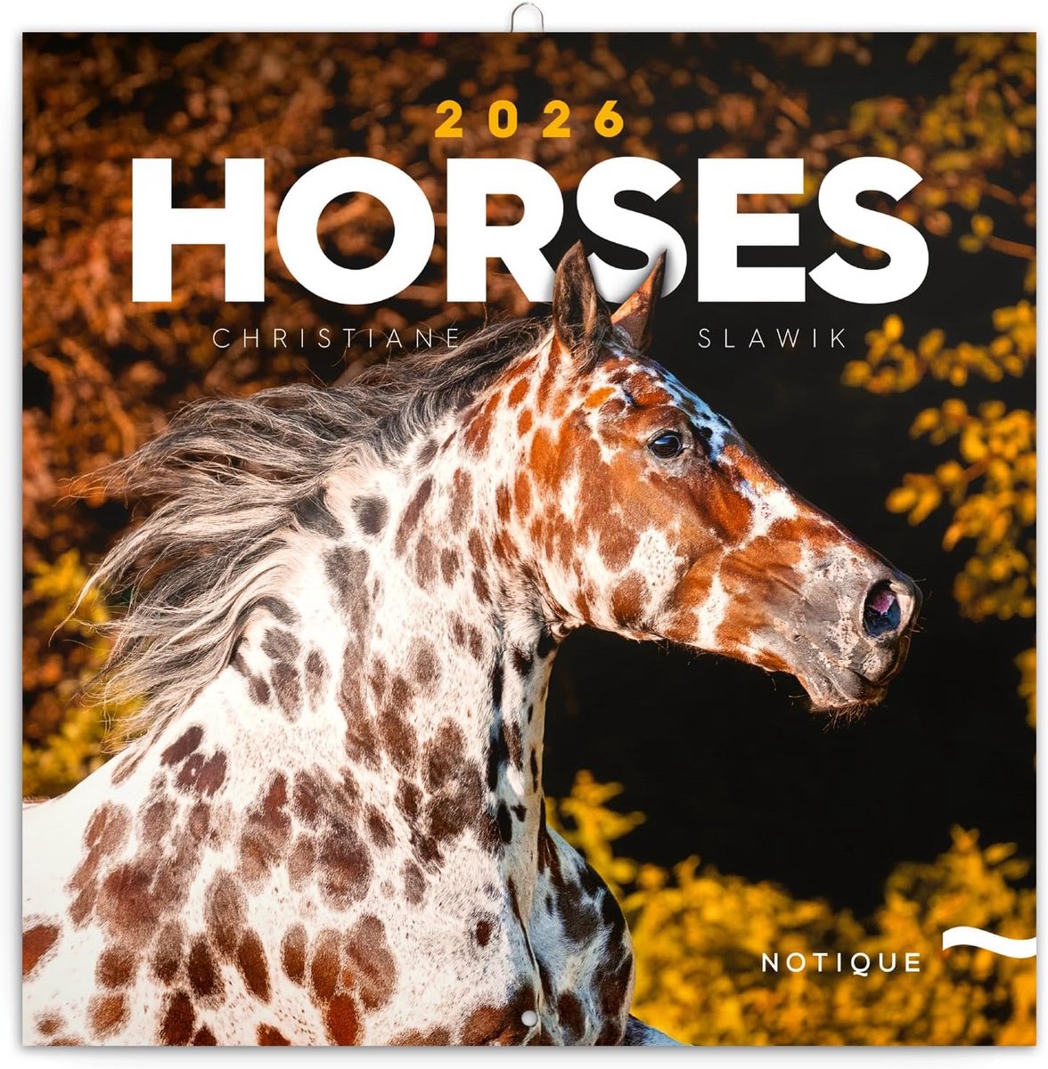 Grote Muurkalender 2026 Paarden Thema - 16 Maanden Planner (Sep 2025 t/m Dec 2026)