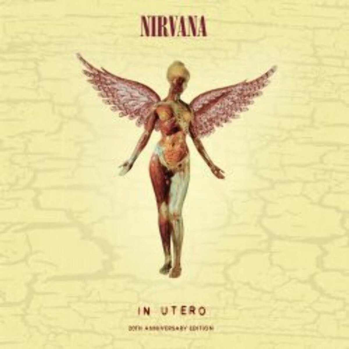 In Utero 20th Anniversary Deluxe Edition Triple LP Vinyl Album