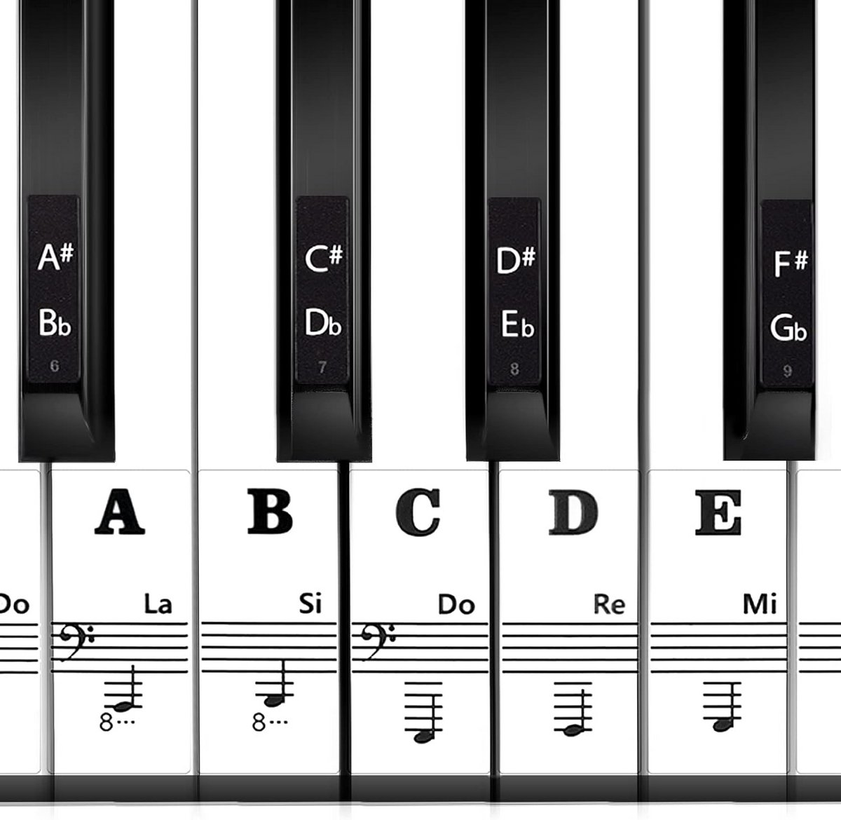 Universele Pianotoets Sticker Set voor Beginners - Geschikt voor 37 t/m 88 toetsen