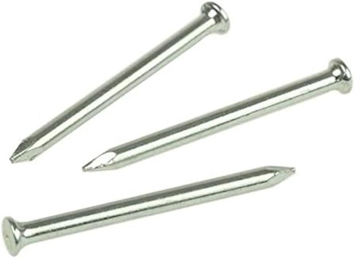 Muurnagels platte kop 3,0 x 50 mm Wit Verzinkt 25 Stuks