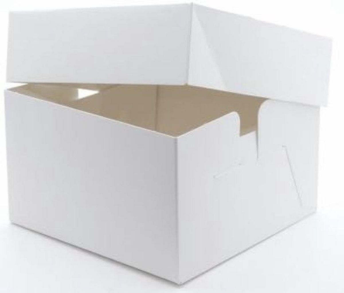 5 Onbedrukte Vierkante Taartdozen voor Grote Taarten 25x25x15 cm