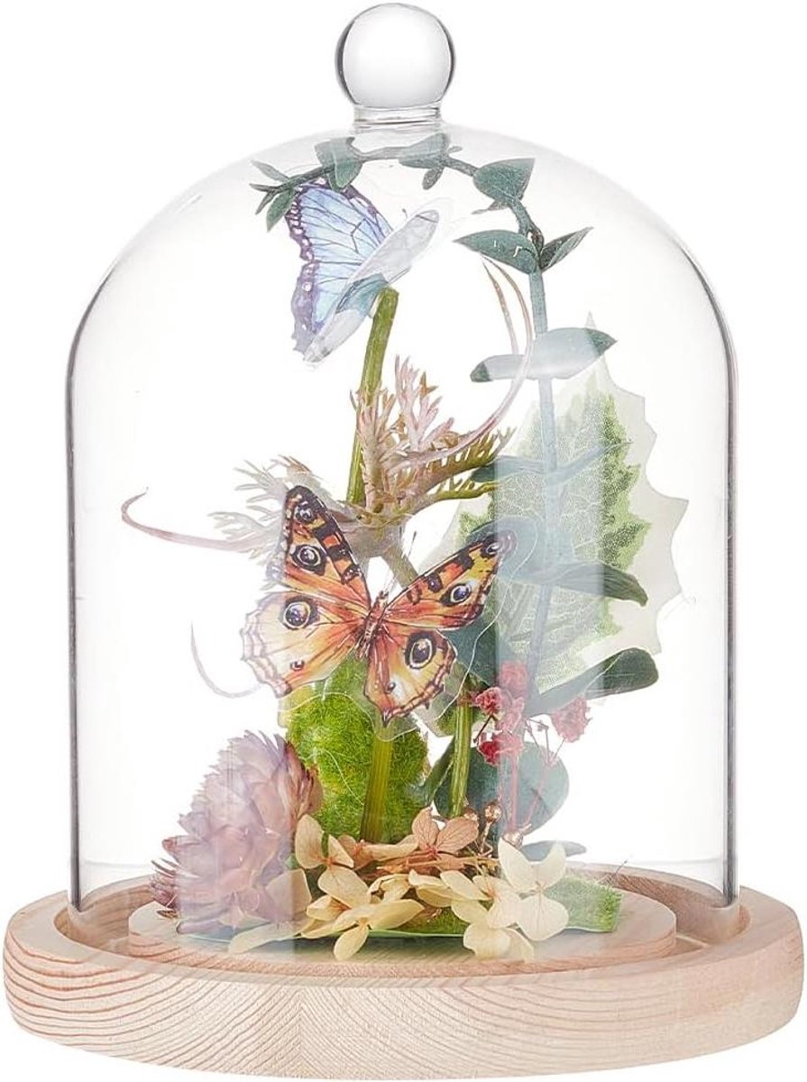 Display Dome met Ronde Top Handvat - Glazen Cloche voor Planten - Eeuwige Bloem Cover - Ho