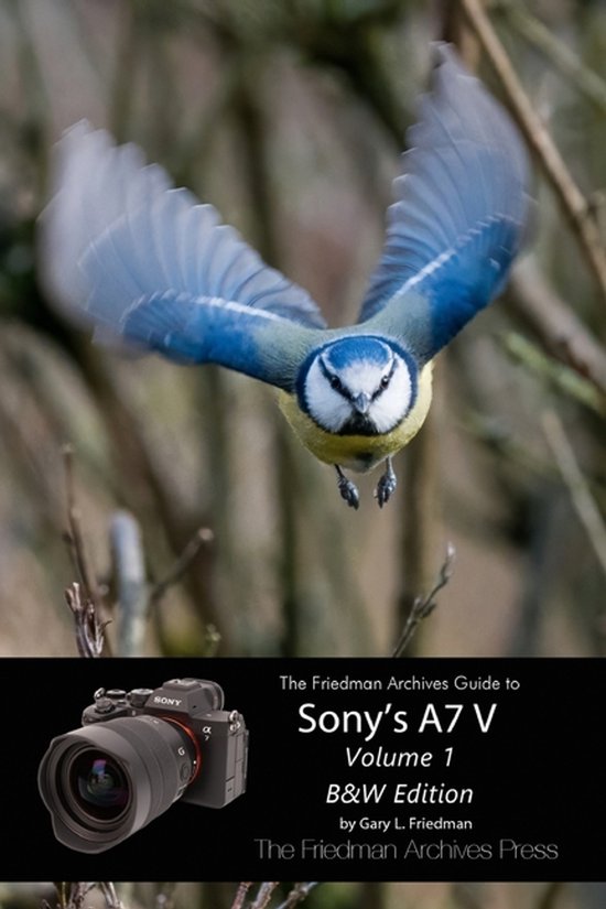 The Friedman Archives Guide to Sony's A7 V Volume 1 - cover