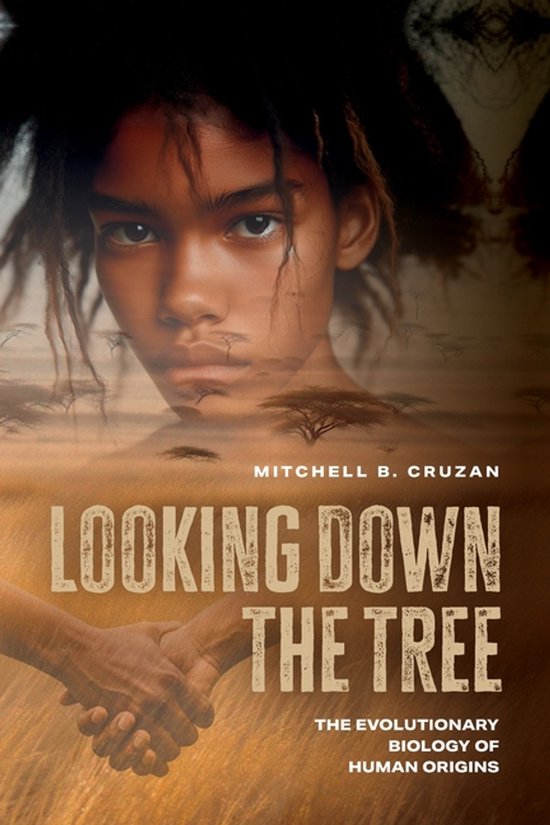 Looking Down the Tree