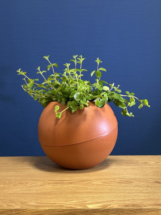 Globee Bloempot Terracotta