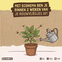 Illustratie van een gezonde plant in pot, besproeid met water. Econema lost rouwvliegjesproblemen op binnen 2 weken.