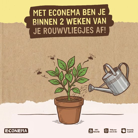 Illustratie van een gezonde plant in pot, besproeid met water. Econema lost rouwvliegjesproblemen op binnen 2 weken.