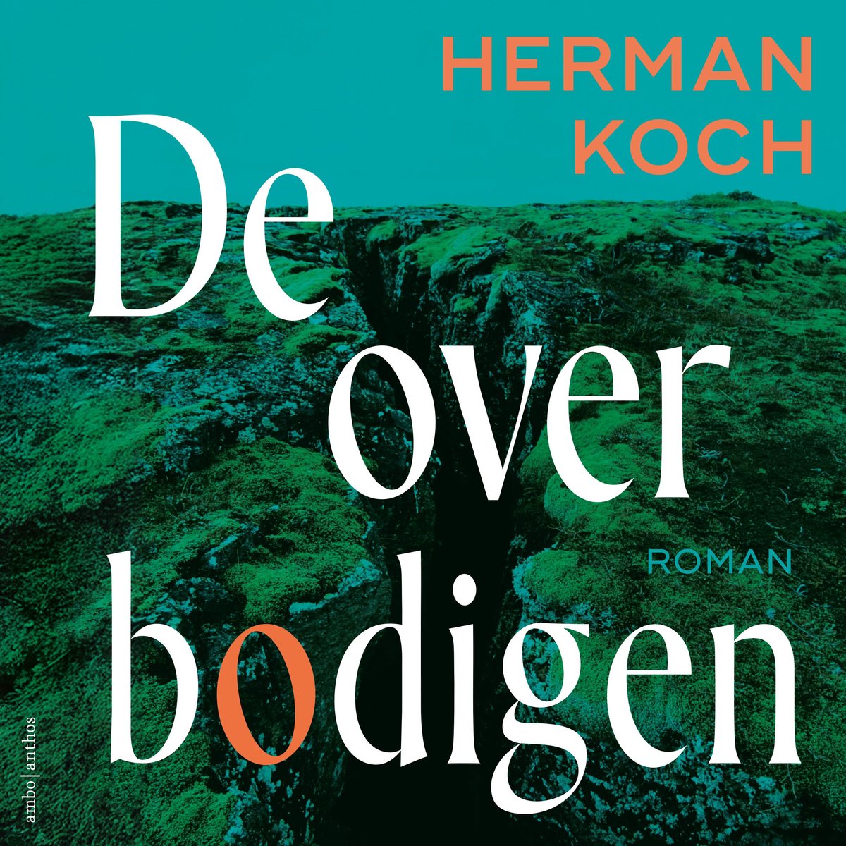 Omslag van De overbodigen