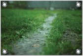 Tuinposter –Grasveld in de Regen– 60x40 Foto op Tuinposter (wanddecoratie voor buiten en binnen)