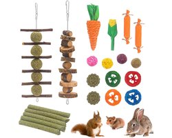 21pcs Rabbit Chew Toys - Dental Cleaning - Baking Teeth Toys voor Cavia's - Snack - Boredom