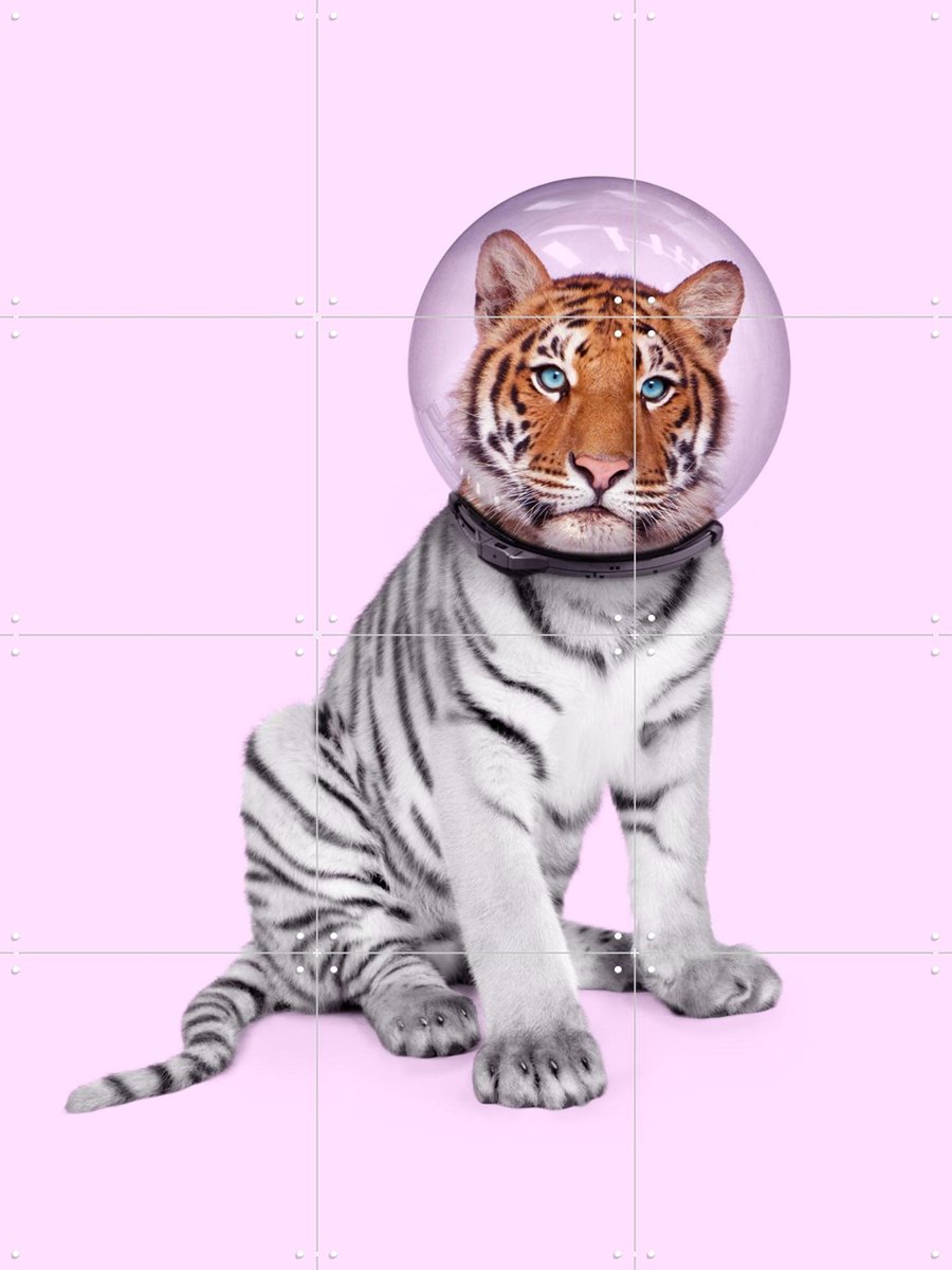 IXXI Space Tiger, Paul Fuentes - 60 x 80 cm - Gratis ophangtool - Grote wanddecoratie en posters - Surrealisme, Illustraties, Kleurrijk, Speels, Pop