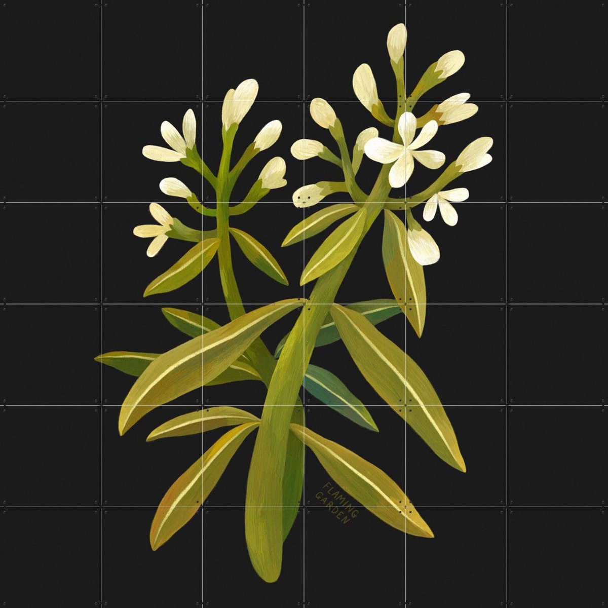 IXXI White Flower, Flaming Garden - 120 x 120 cm - Gratis ophangtool - Grote wanddecoratie en posters - Illustraties, Speels, Digitale Kunst