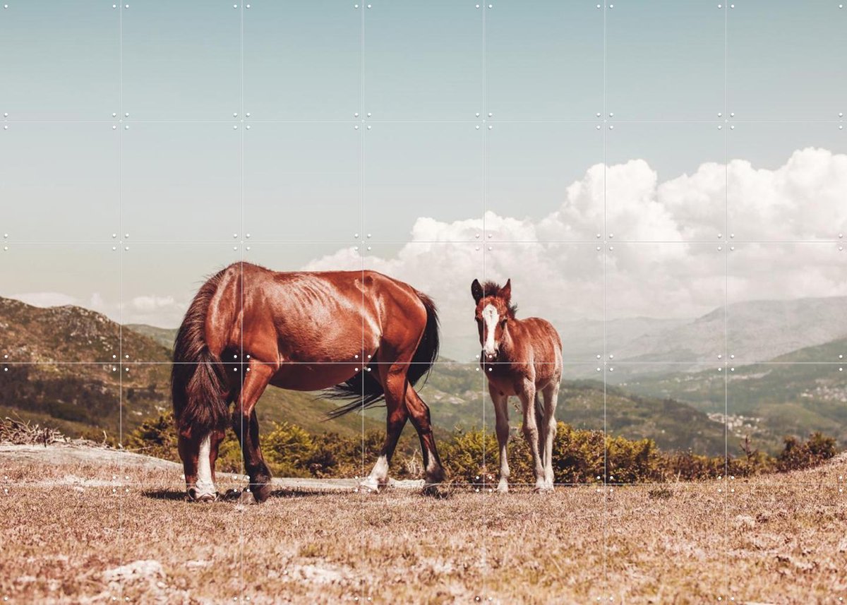 IXXI Wild Horses, Ingrid Beddoes - 140 x 100 cm - Gratis ophangtool - Grote wanddecoratie en posters - Fotografie, Naturalisme, Woonkamer, Dieren