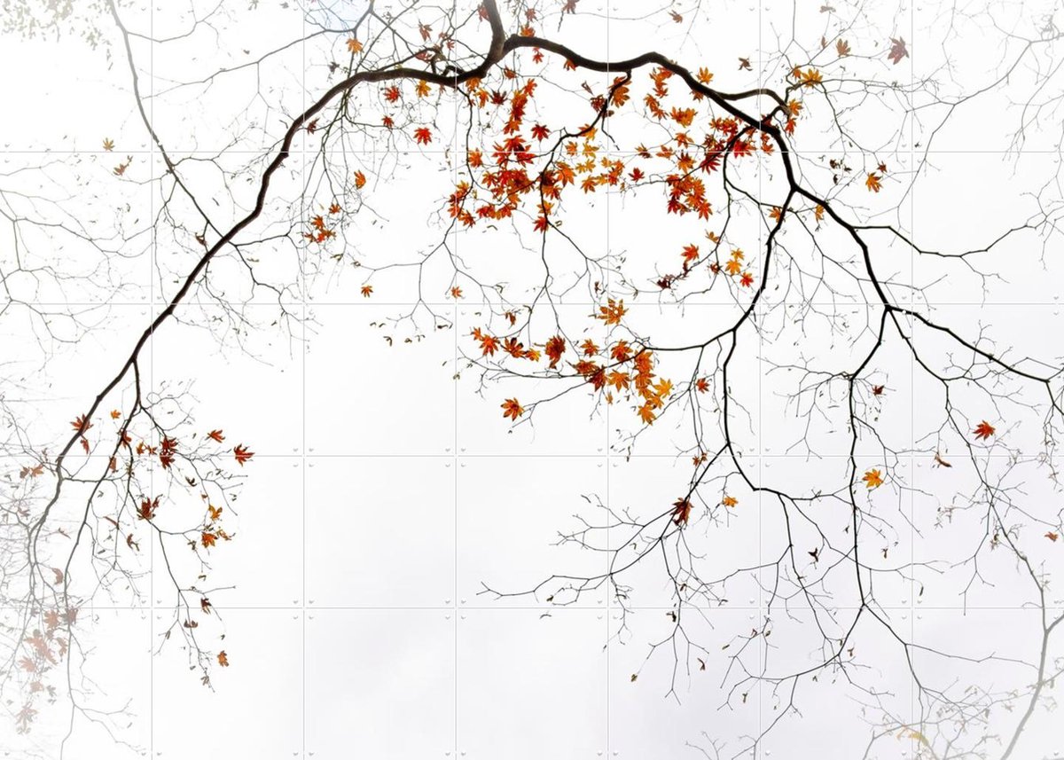 IXXI Sensitive, Various - 140 x 100 cm - Gratis ophangtool - Grote wanddecoratie en posters - Minimalisme, Fotografie, Slaapkamer, Woonkamer, Herfst