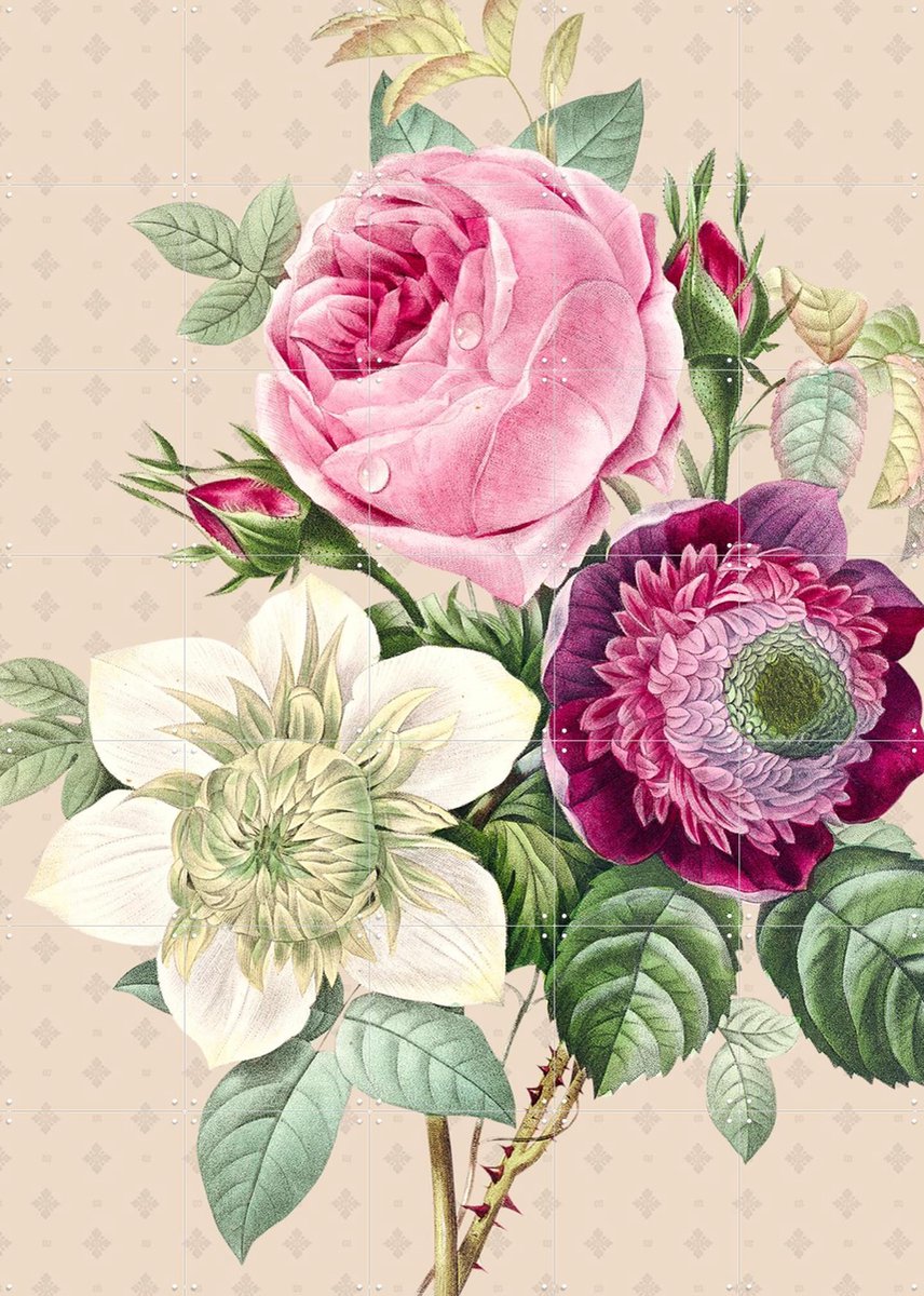 IXXI Vintage Redoute Peonies and Roses II, Bloomery Decor - 100 x 140 cm - Gratis ophangtool - Grote wanddecoratie en posters - Naturalisme, Vintage