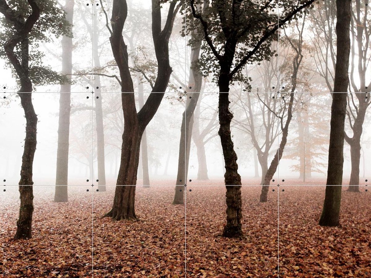 IXXI Whispering, Claire Droppert - 80 x 60 cm - Gratis ophangtool - Grote wanddecoratie en posters - Realisme, Naturalisme, Fotografie, Studeerkamer