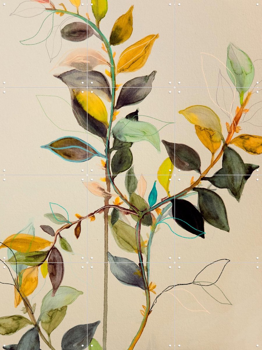 IXXI Willow M20, Leigh Viner - 60 x 80 cm - Gratis ophangtool - Grote wanddecoratie en posters - Grafisch Ontwerp, Aquarel, Line art, Illustraties