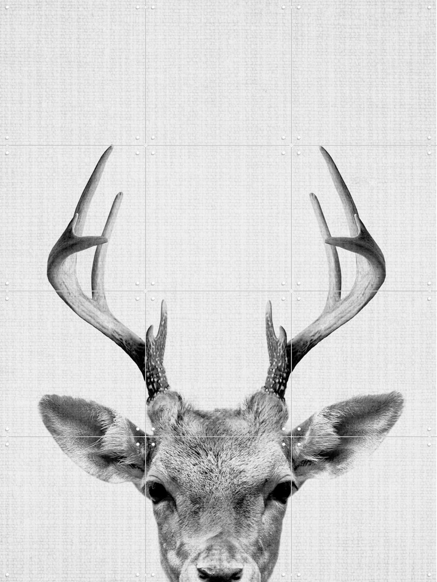 IXXI Print 38 Deer, Lila + Lola - 60 x 80 cm - Gratis ophangtool - Grote wanddecoratie en posters - Fotografie, Minimalisme, Woonkamer, Babykamer