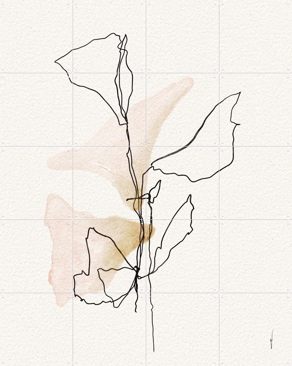 IXXI Minimal Bloom Lines, Ankie Kooi & Various - 80 x 100 cm - Gratis ophangtool - Grote wanddecoratie en posters - Line art, Aquarel, Minimalisme