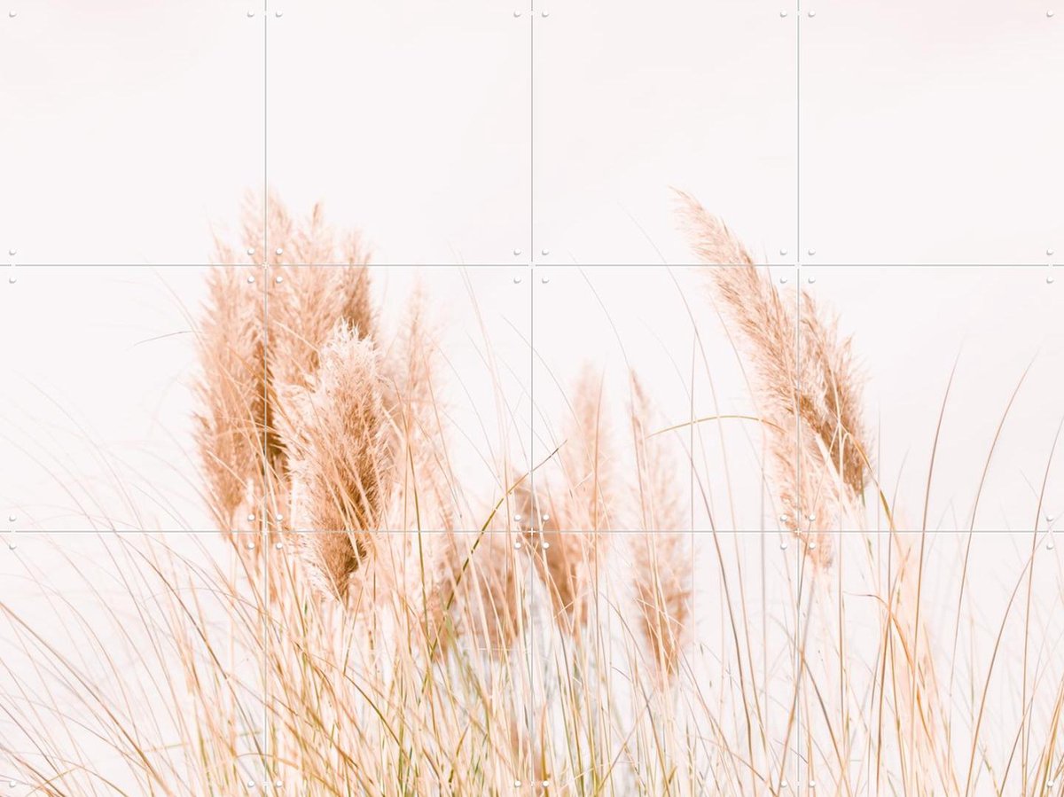 IXXI Pampas Grass, Ingrid Beddoes - 80 x 60 cm - Gratis ophangtool - Grote wanddecoratie en posters - Fotografie, Minimalisme, Slaapkamer, Woonkamer