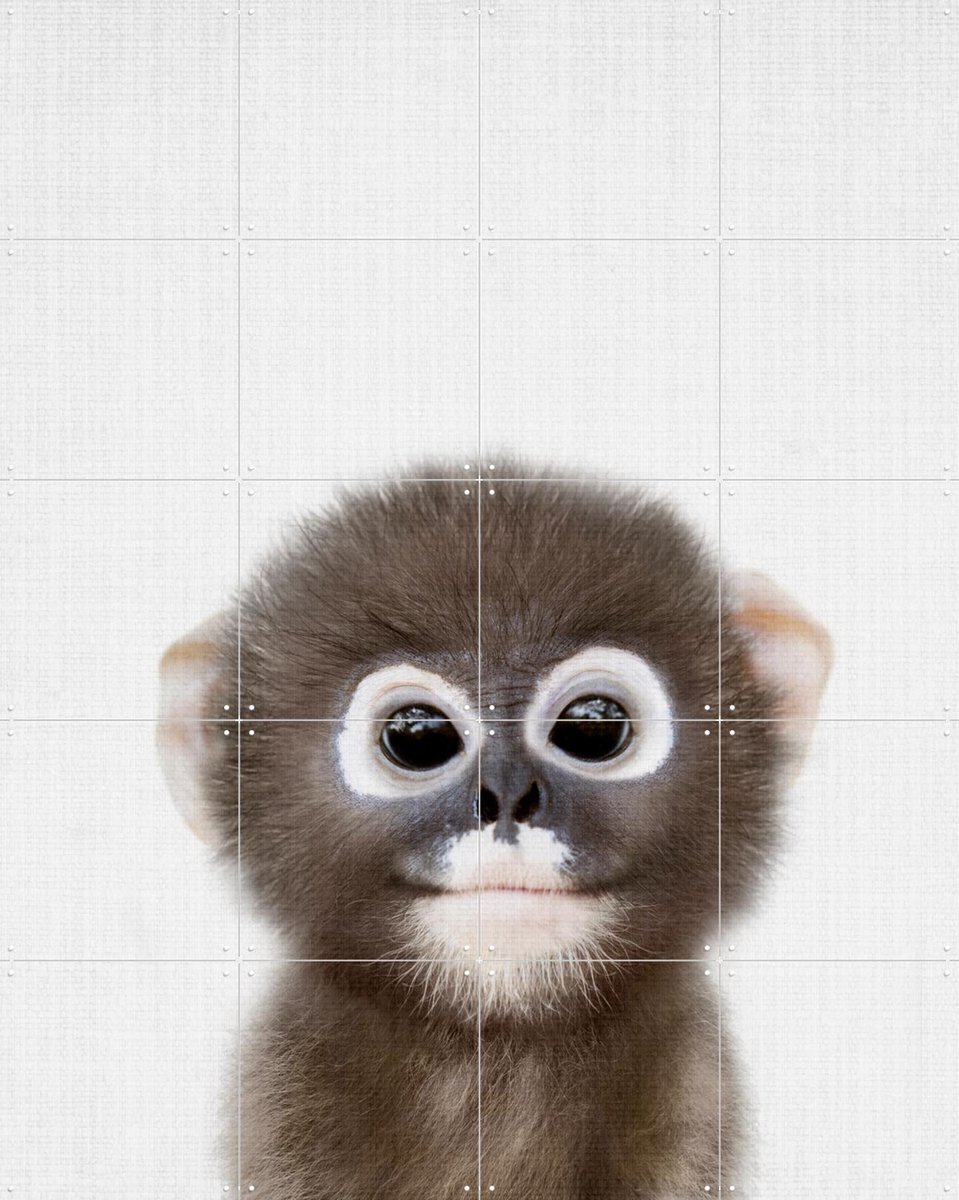 IXXI Baby Monkey, Lila + Lola - 80 x 100 cm - Gratis ophangtool - Grote wanddecoratie en posters - Fotografie, Speels, Babykamer, Kinderkamer, Dieren