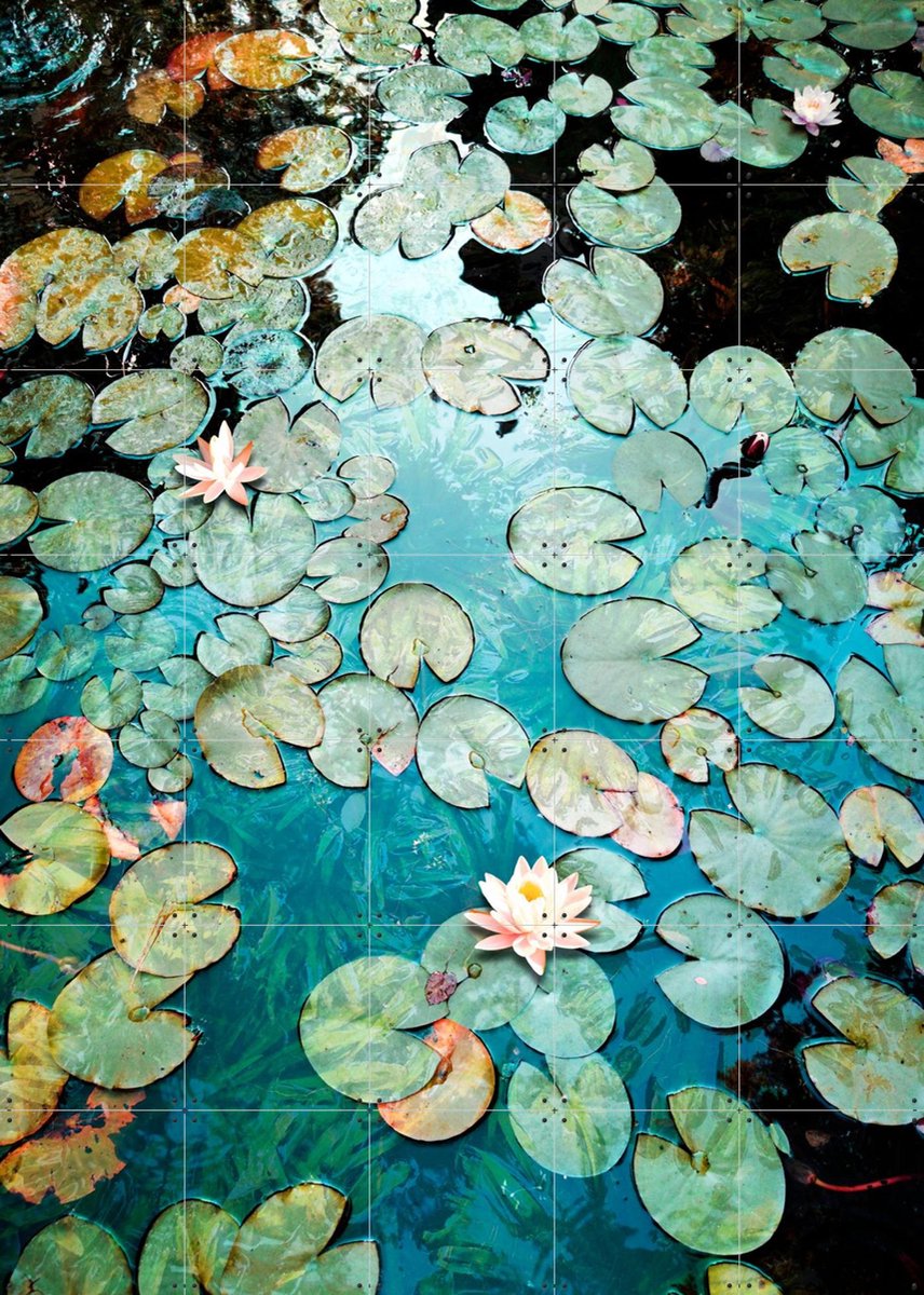 IXXI Waterlilies, Angelo Cerantola - 100 x 140 cm - Gratis ophangtool - Grote wanddecoratie en posters - Fotografie, Impressionisme, Naturalisme