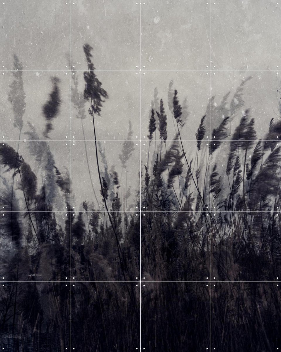 IXXI Waving Grass, Photolovers - 80 x 100 cm - Gratis ophangtool - Grote wanddecoratie en posters - Fotografie, Abstract, Vintage, Minimalisme