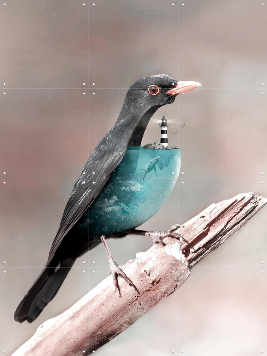 IXXI Aqua Birdo, Julien Tabet - 60 x 80 cm - Gratis ophangtool - Grote wanddecoratie en posters - Fotografie, Illustraties, Surrealisme, Digitale