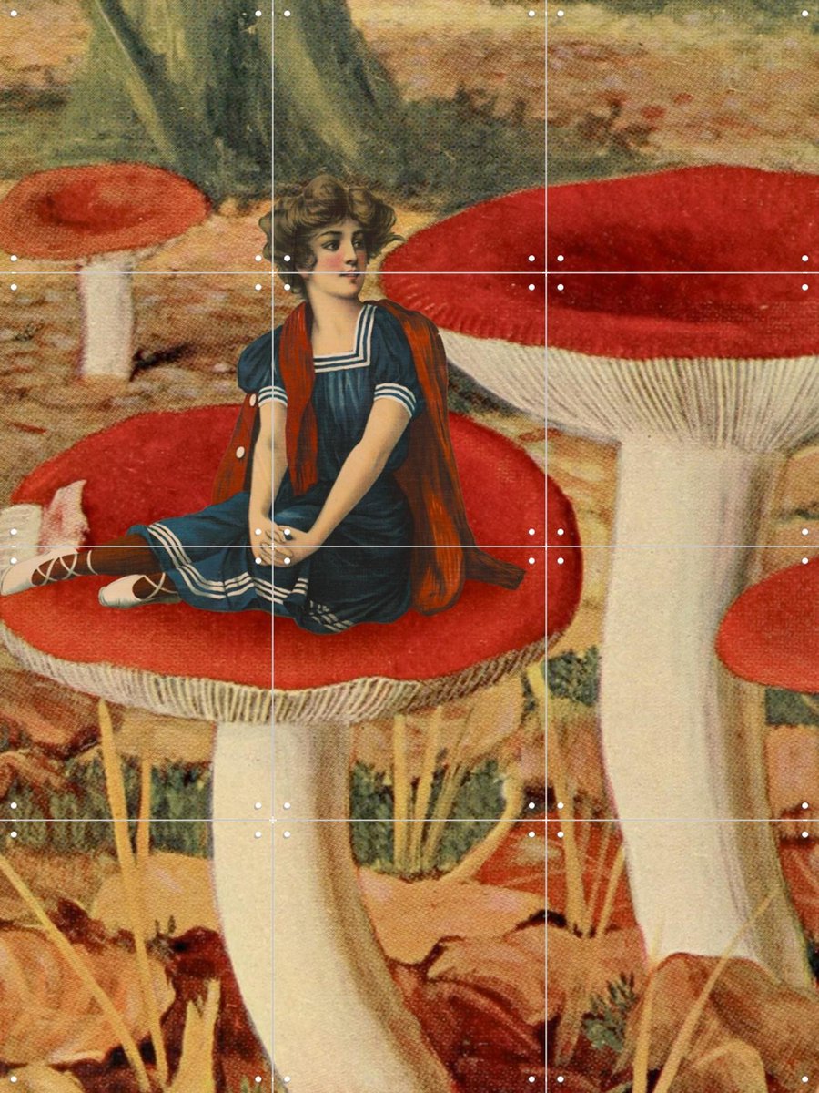 IXXI Forest Floor, Extrovisions - 60 x 80 cm - Gratis ophangtool - Grote wanddecoratie en posters - Collage, Gemengde Technieken, Art Nouveau