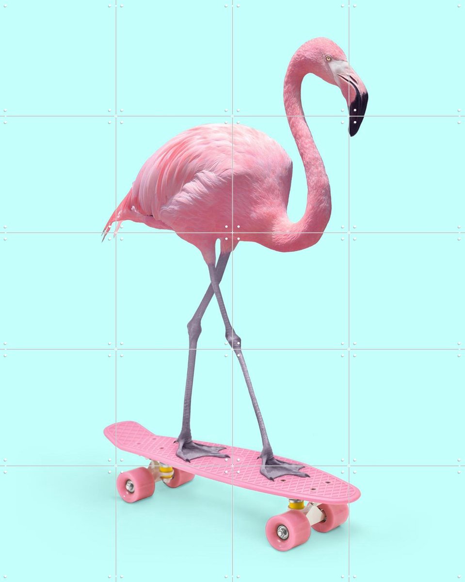 IXXI Skate Flamingo, Paul Fuentes - 80 x 100 cm - Gratis ophangtool - Grote wanddecoratie en posters - Kleurrijk, Surrealisme, Pop art, Grafisch