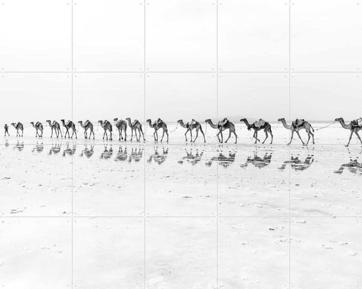 IXXI Salt Transport with Camels, Photolovers - 100 x 80 cm - Gratis ophangtool - Grote wanddecoratie en posters - Minimalisme, Fotografie, Woonkamer