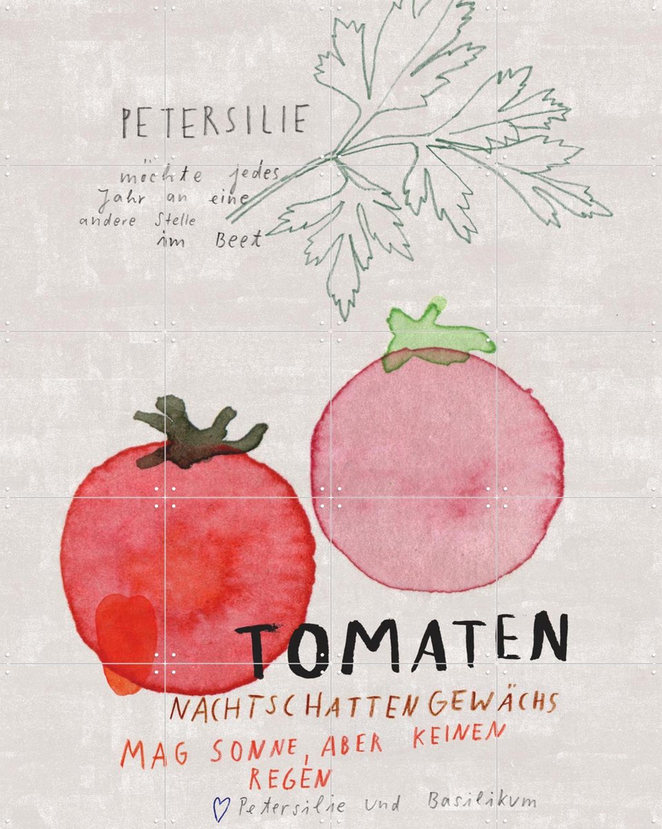 IXXI Tomaten DE, Signorinah - 80 x 100 cm - Gratis ophangtool - Grote wanddecoratie en posters - Aquarel, Speels, Illustraties, Woonkamer, Eetkamer