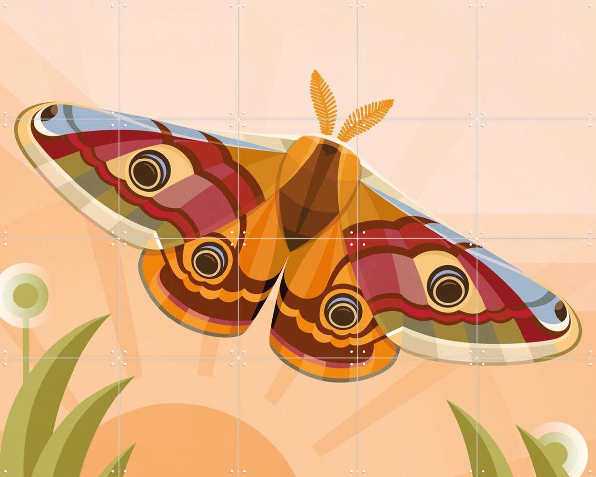 IXXI Nachtpauwoog Vlinder, Elke Uijtewaal - 100 x 80 cm - Gratis ophangtool - Grote wanddecoratie en posters - Illustraties, Grafisch Ontwerp