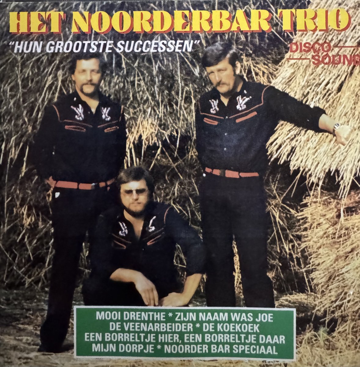 Het Noorderbar Trio- hun grootste successen