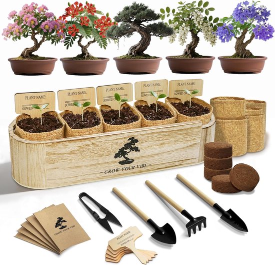 Luxe Bonsai Starters Kit – 5 Soorten Bonsai Zaden – 25-delige Kweekset met Tuinset – Inclusief Nederlandse Instructies – Bonsai Binnen Kweken – Perfect Cadeau