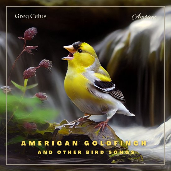 American Goldfinch and Other Bird Songs - cover