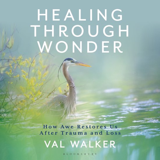 Healing Through Wonder - cover