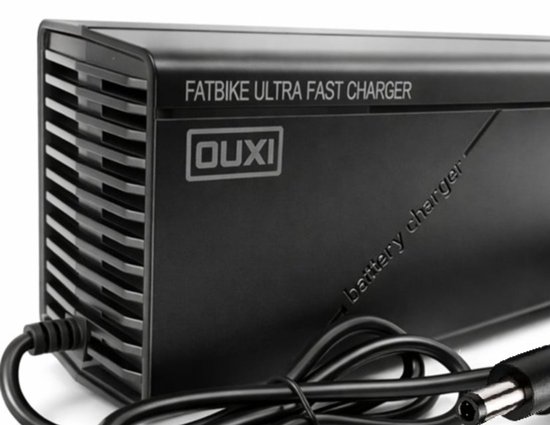 Ultra Snelle 54.6V 5A Fatbike Lader 48V Accu - DC 5.5×2.1 (5521) Oplader - Geschikt voor OUXI V8 V9 H8 H9 V20 S20 & QMWheel / Crossboss QMwheel van Merkloos — afbeelding 2