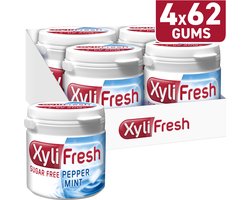 XyliFresh Peppermint Pot Suikervrije Kauwgom jar 4x93g