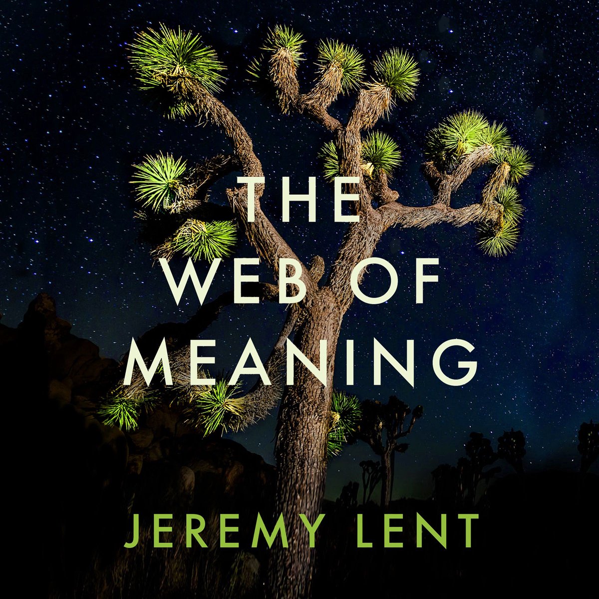 Omslag van The Web of Meaning
