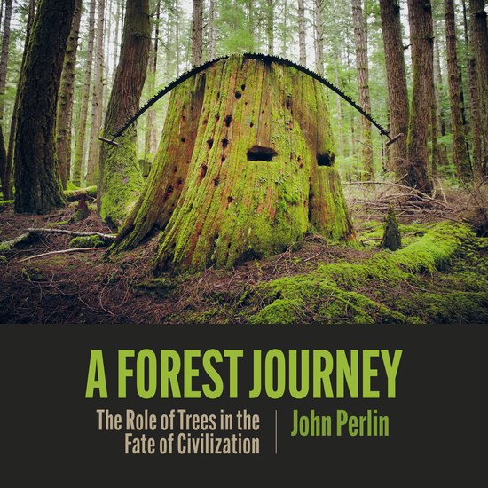 A Forest Journey - cover