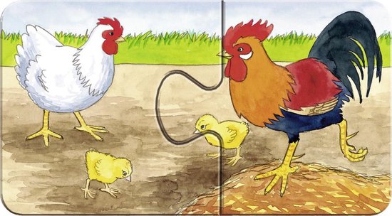 Een witte kip, een haan met rode kam en twee kuikentjes op een boerderijterrein.