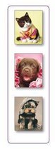 3 magnetische mini boekenleggers: rachael hale - snickers, dozer en maxwell