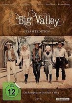 Ingalls, D: Big Valley