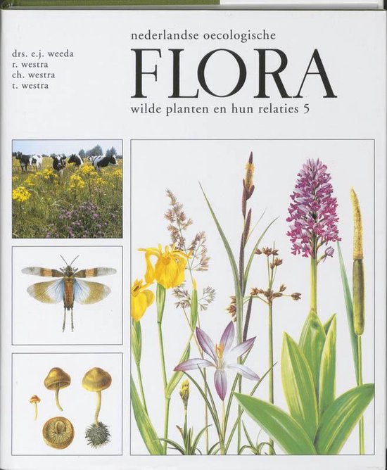 Nederlandse oecologische flora 5 - E.J. Weeda | Tiliboo-afrobeat.com
