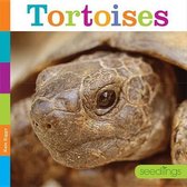 Seedlings- Tortoises