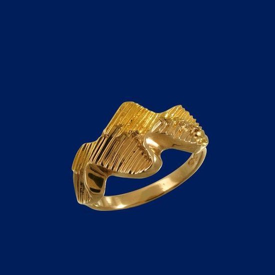 Noorderlicht. Gouden ring 16mm