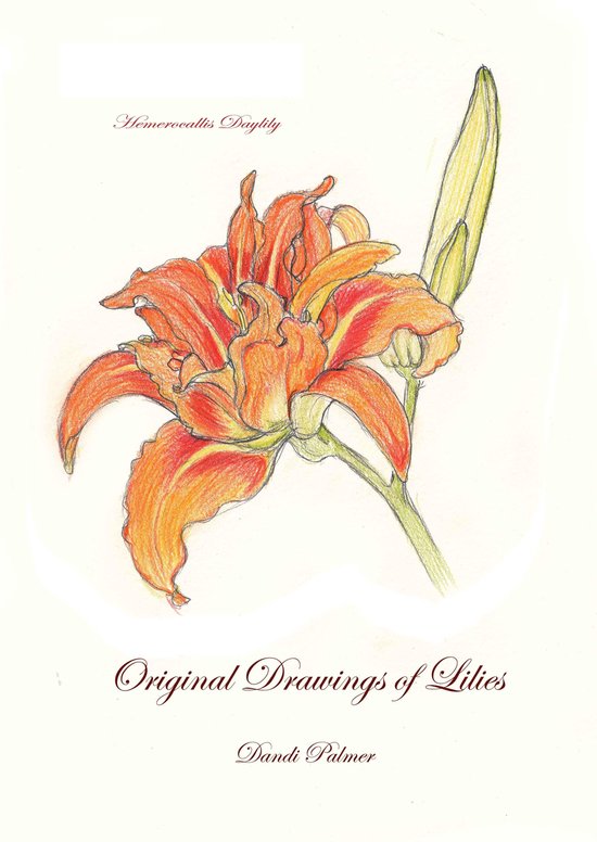 Sketchbook Drawings 11 - Original Drawings of Lilies - cover