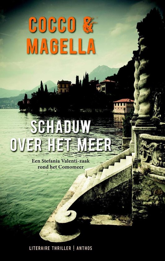 Cover van het boek 'Schaduw over het meer'